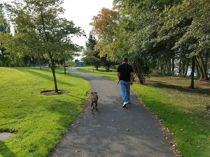 Renton’s Hidden Gems: Unique Spots Locals Love 1 Off-leash area at Cedar River Dog Park in Renton