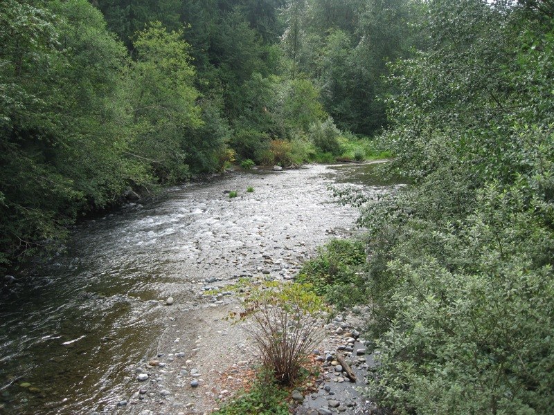 Cedar River Trail Renton WA