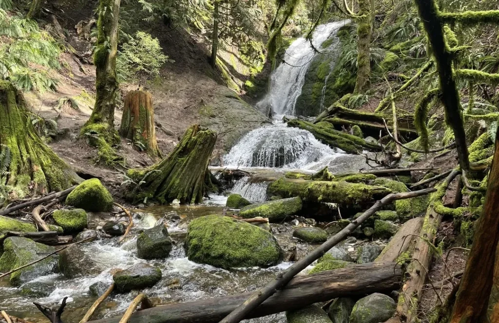 Cougar Mountain Regional Park Hiking Trails
