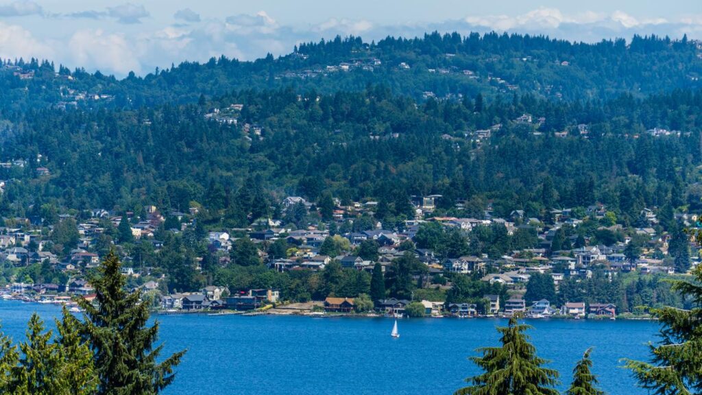 Moving to Renton WA - City View